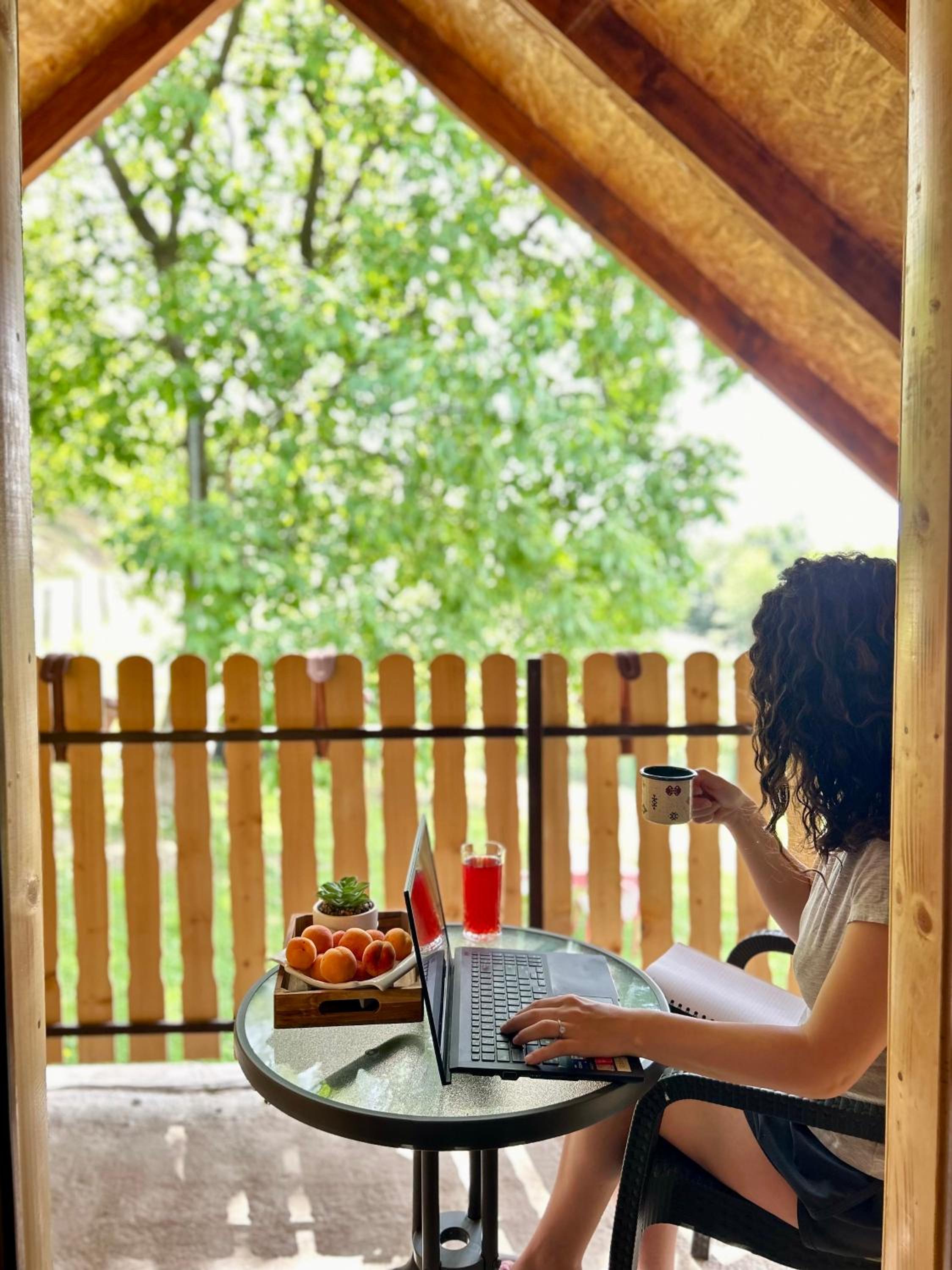 Vikend kuca pod lipom view 4