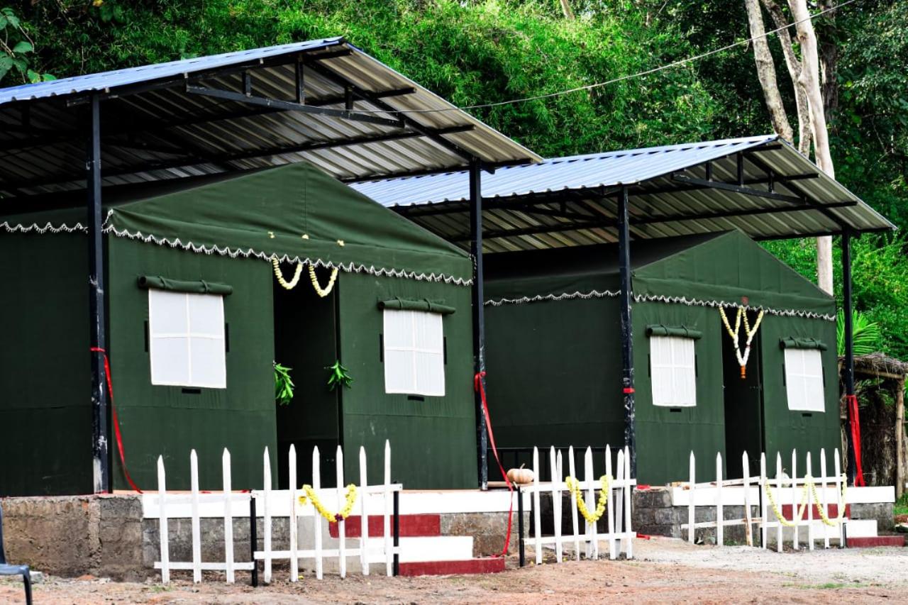 Dandeli Kali Resort
