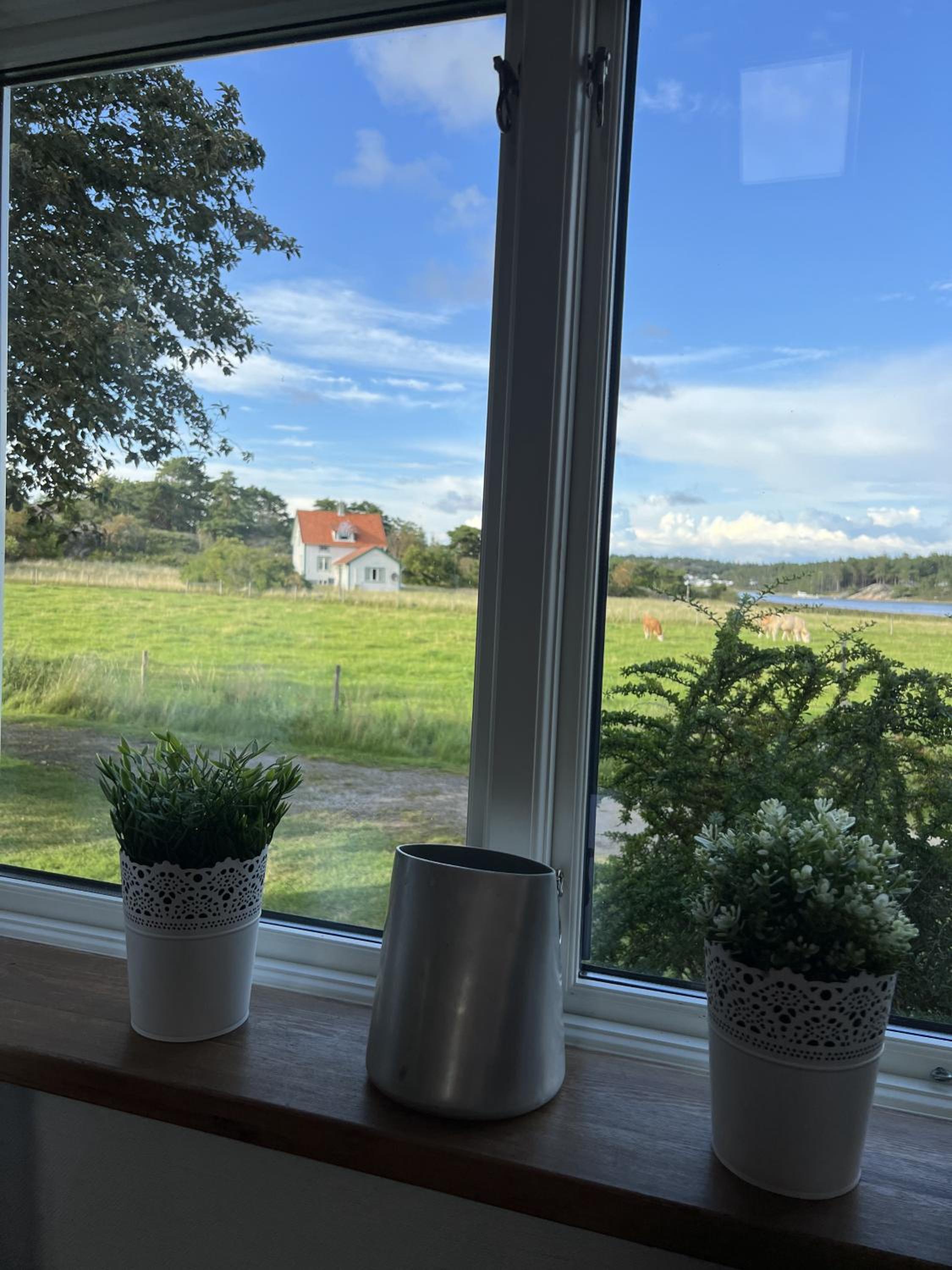 Saltögården