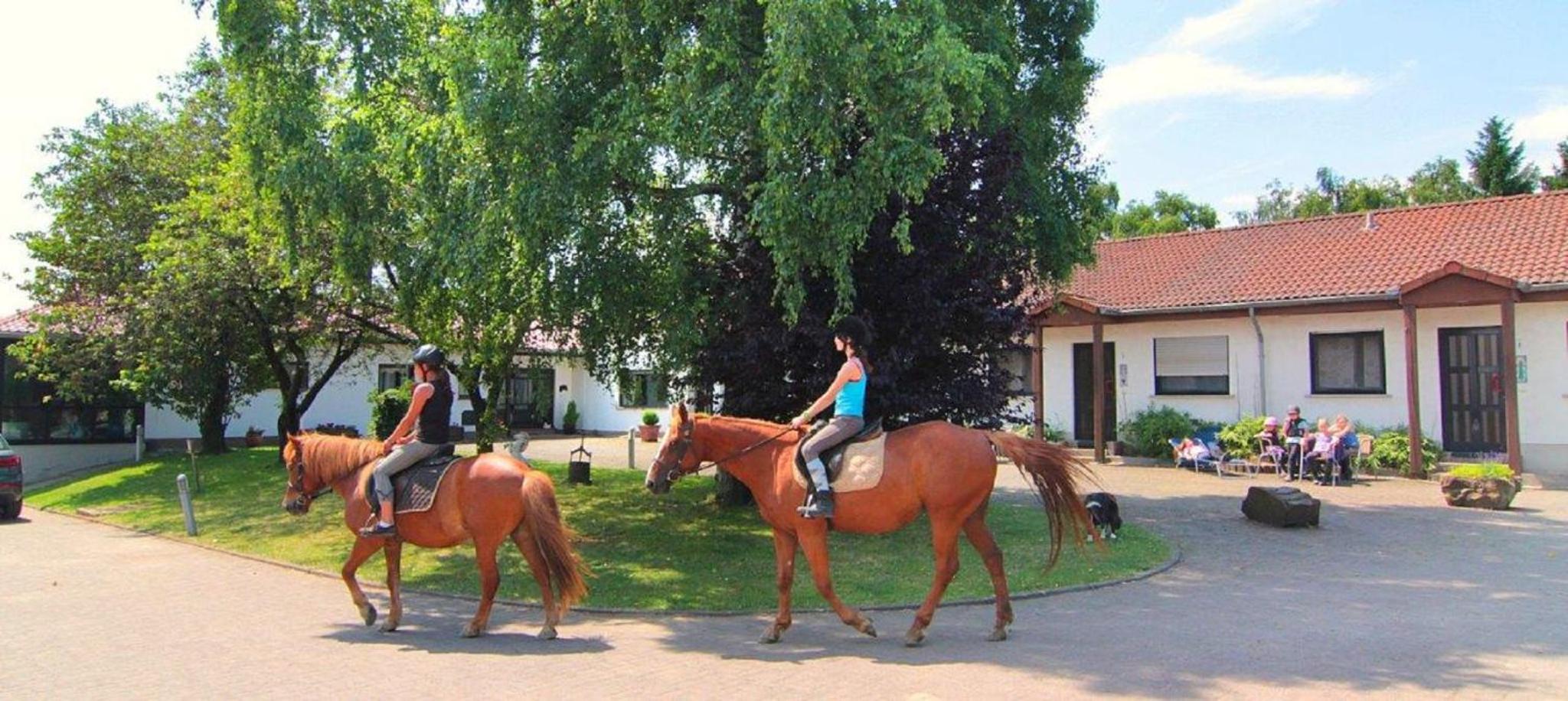 Ferienwohnungen Heidwaldhof