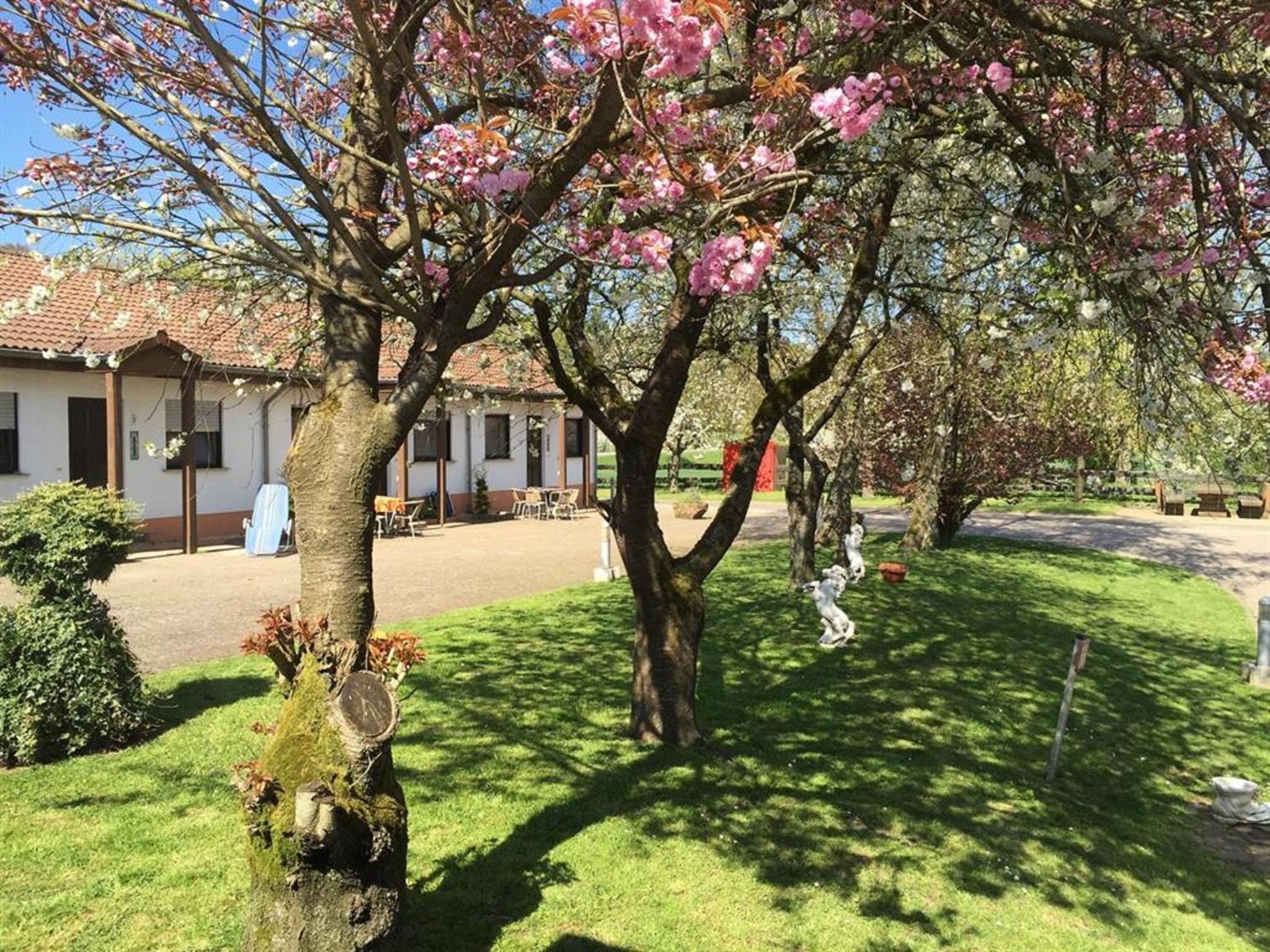 Ferienwohnungen Heidwaldhof