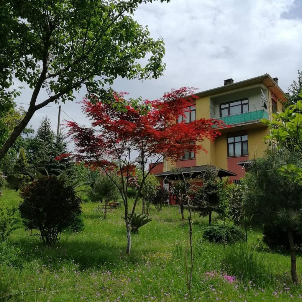 Yomra İkisu Garden House view 2
