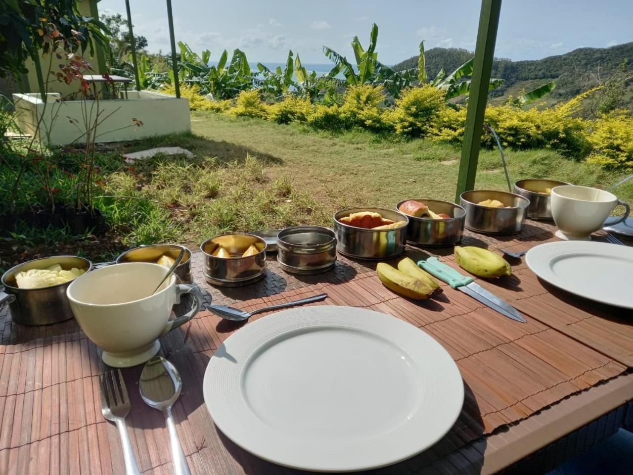 The Green Shack view 2