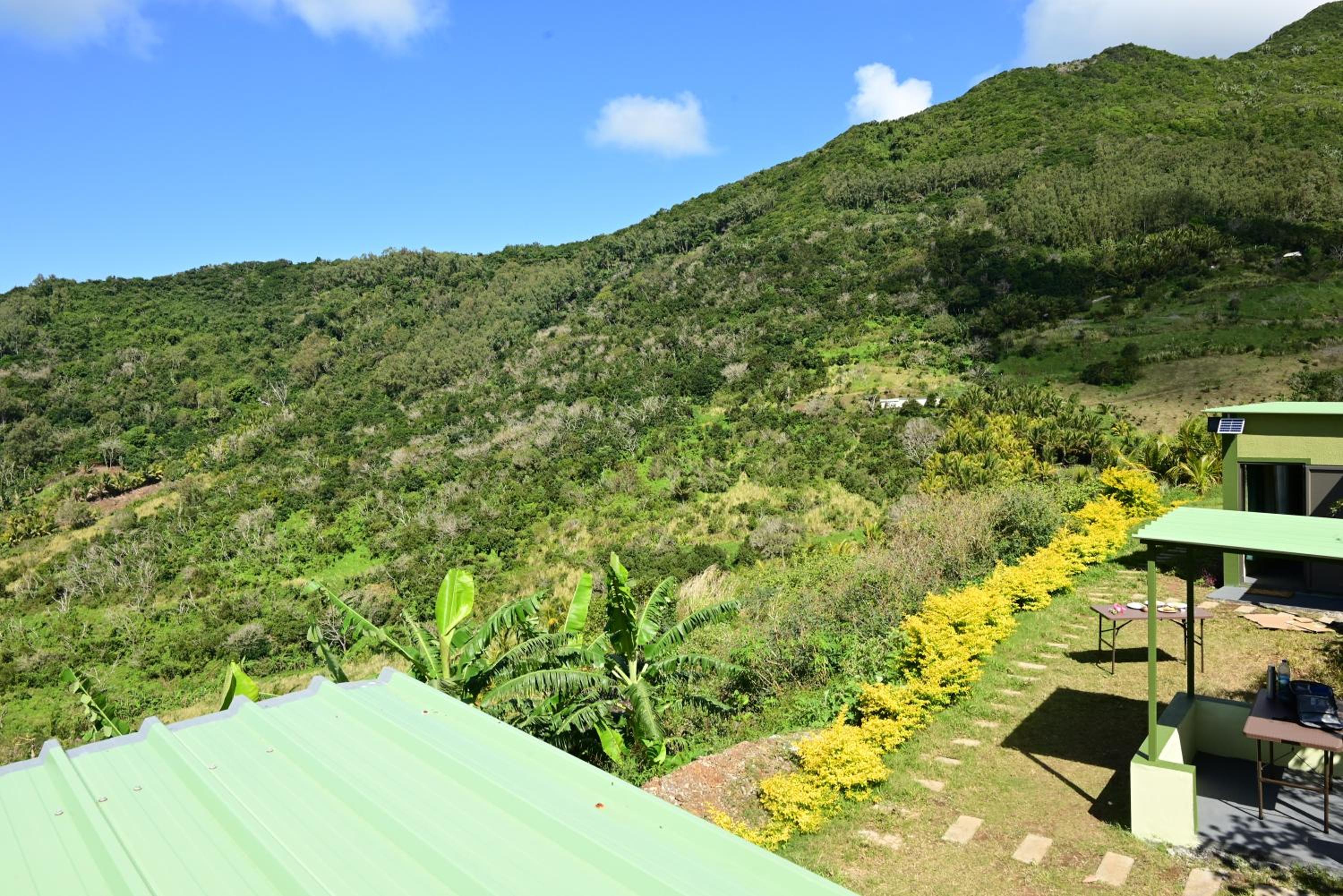 The Green Shack view 3
