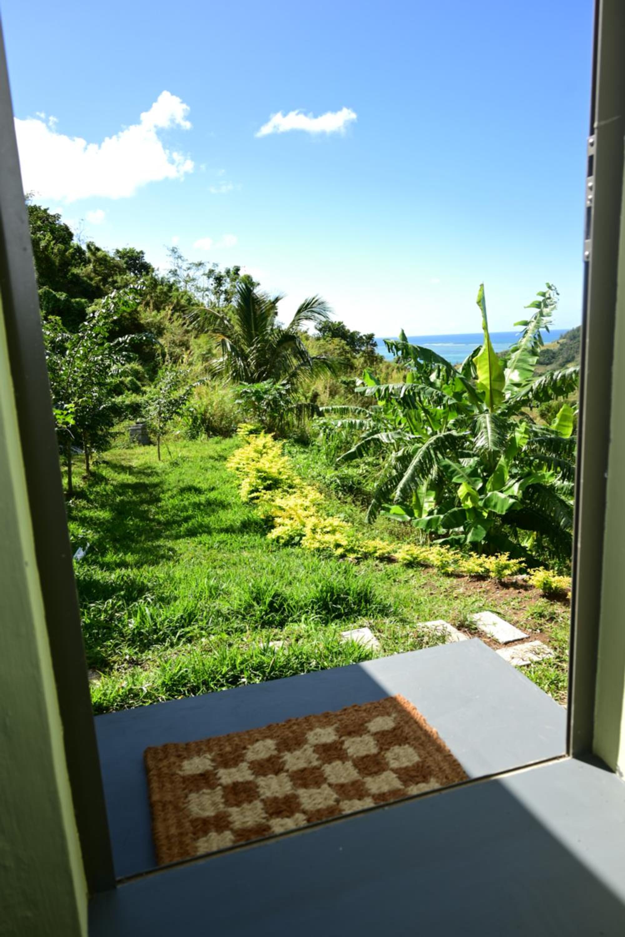 The Green Shack view 4