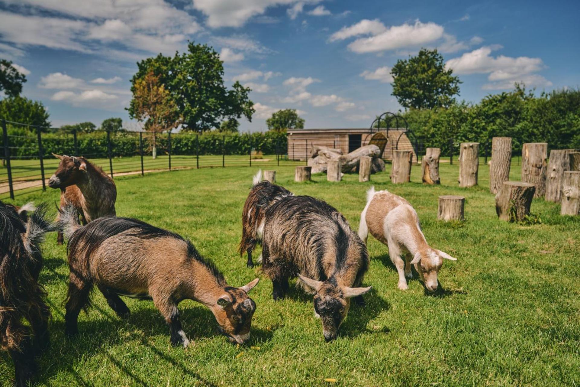 Hygge Hideaway