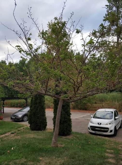 Artemis Villa