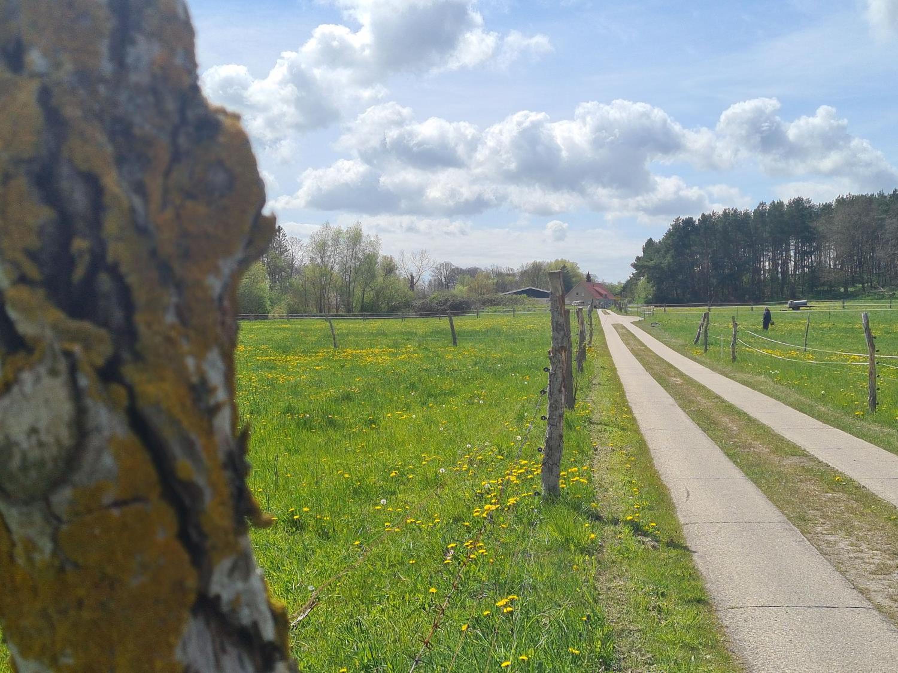 Garten-Ferienhaus Biendorf OT Westenbrügge