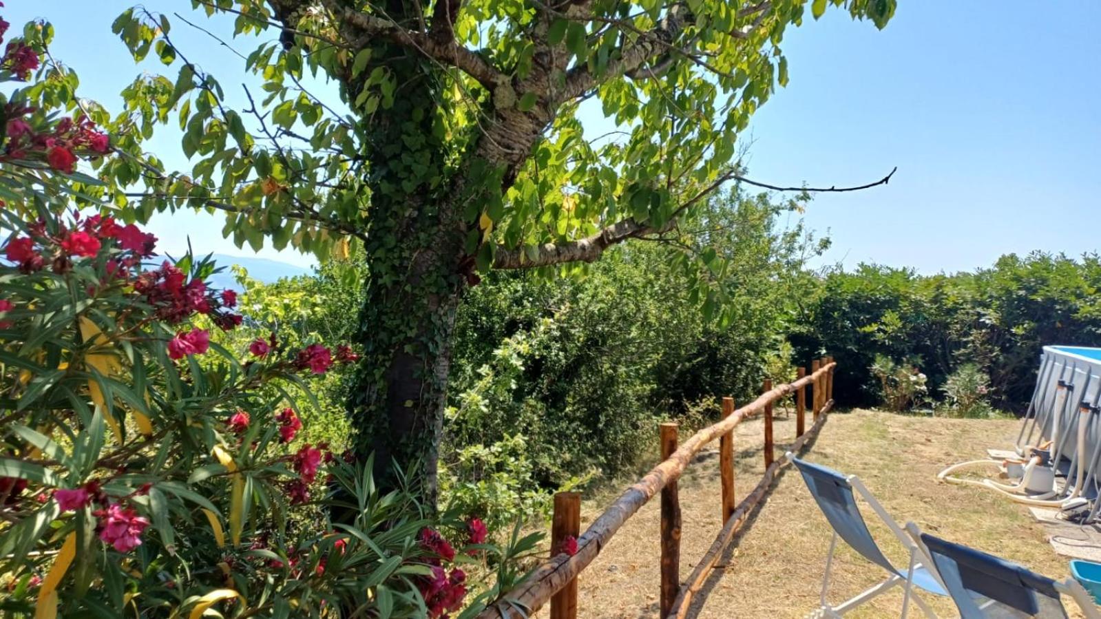 Casa Flora