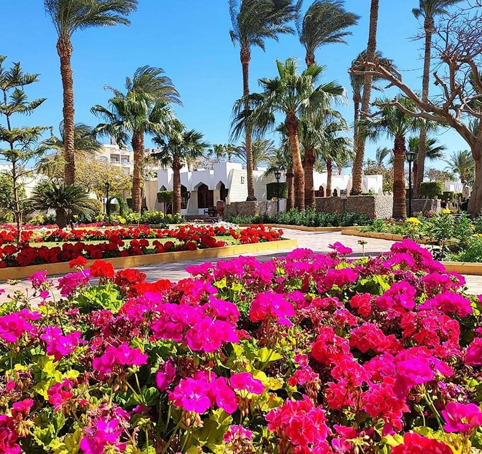 Regina Resort and Aqua Park Hurghada
