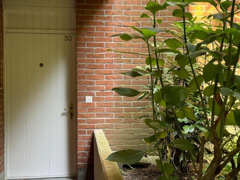 Appartamento Residenza Navengana