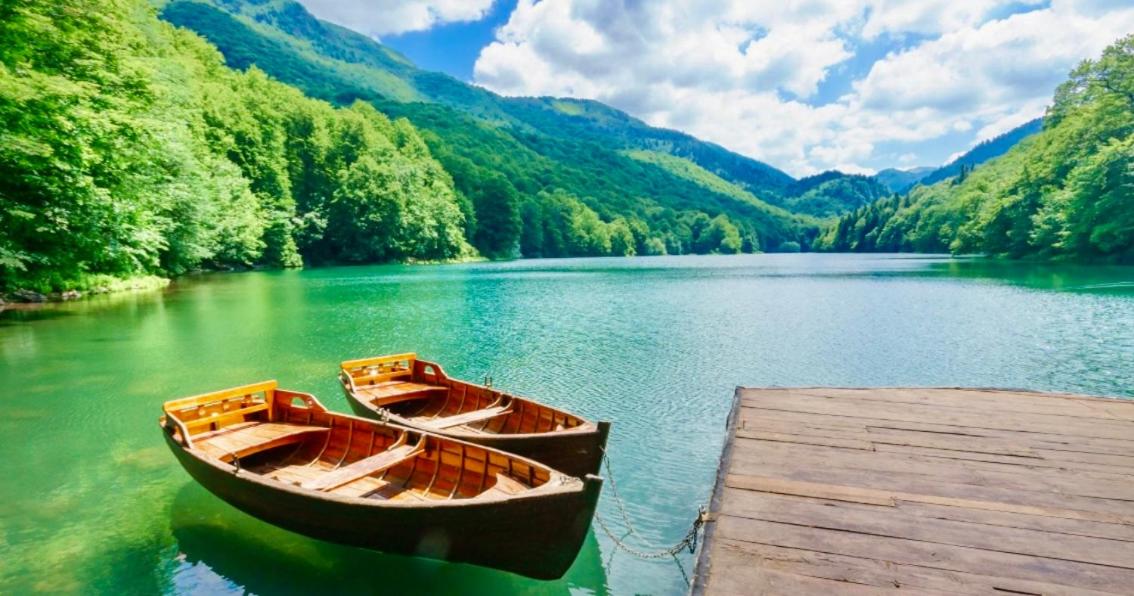 Waterfront Peace