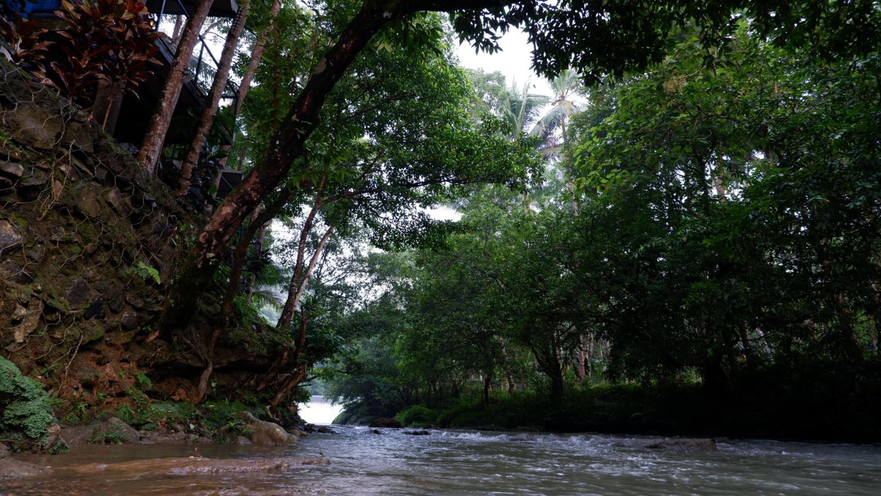 Hau Eco Lodges Citumang Pangandaran