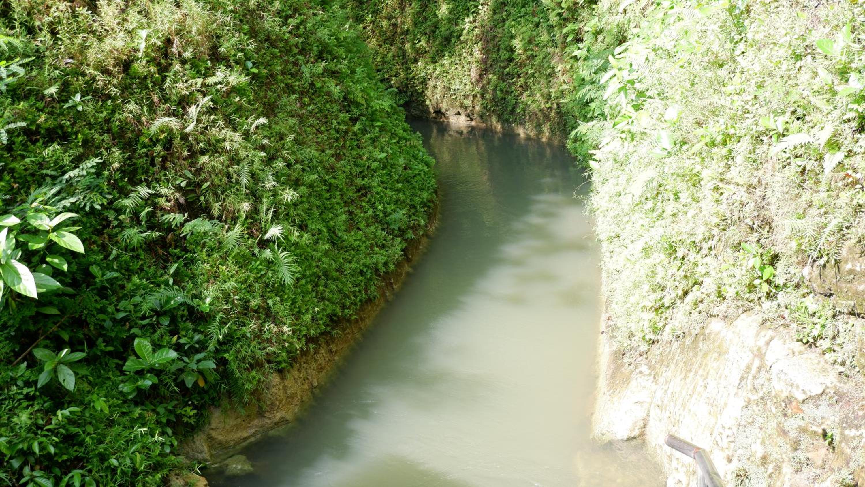 Hau Eco Lodges Citumang Pangandaran