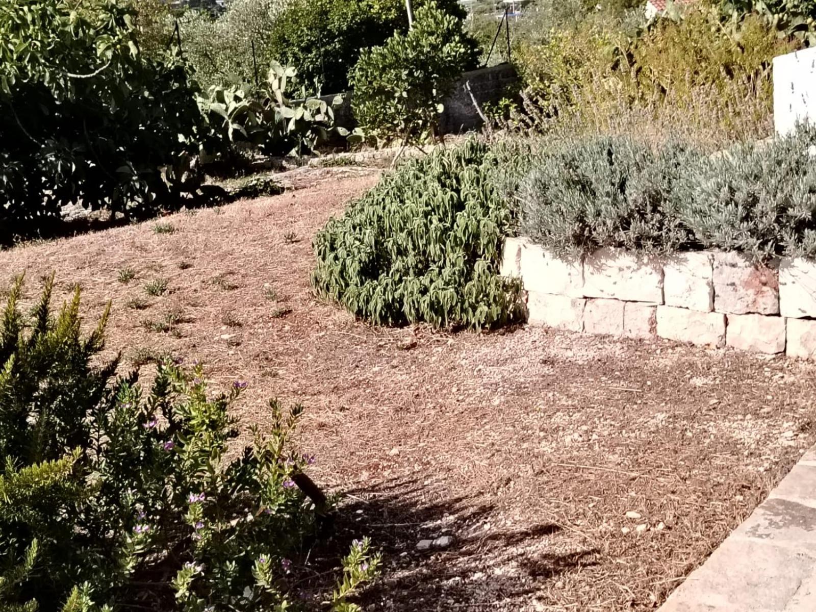 Fiore di Cappero view 3