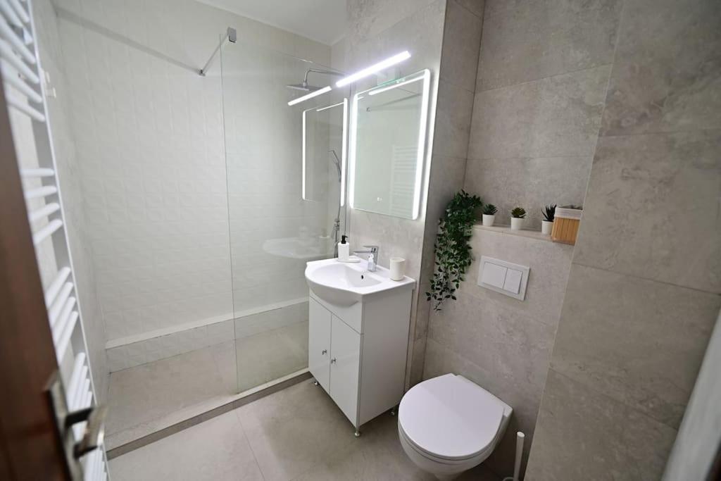 FLH - Apartament Damar Sibiu view 5