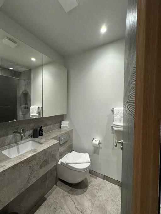 Luxurious Studio - Central Prime Reading Location- CHRL F18 view 5