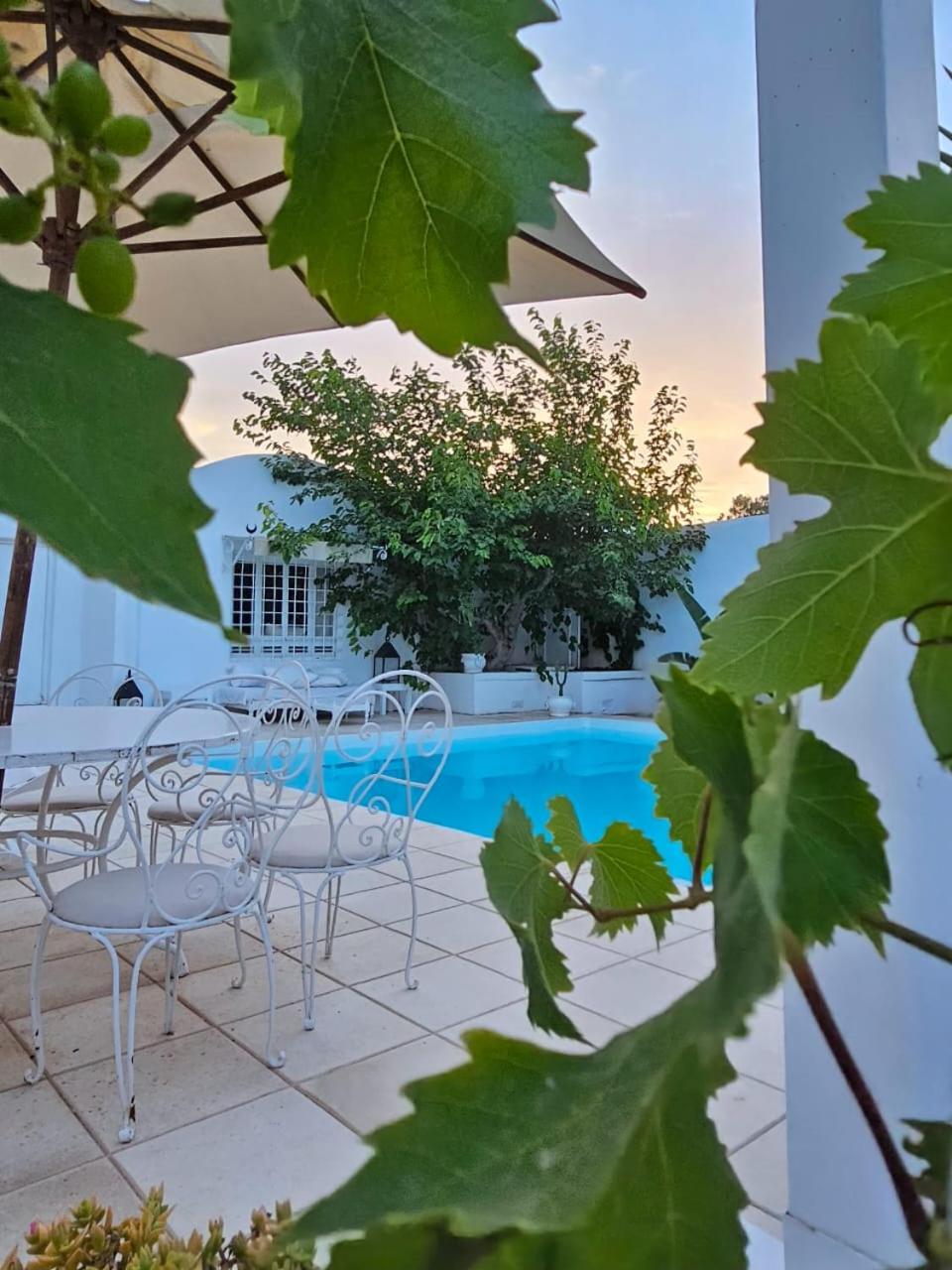 Hammamet Vacations - Dar LaVigne - Property Image 1