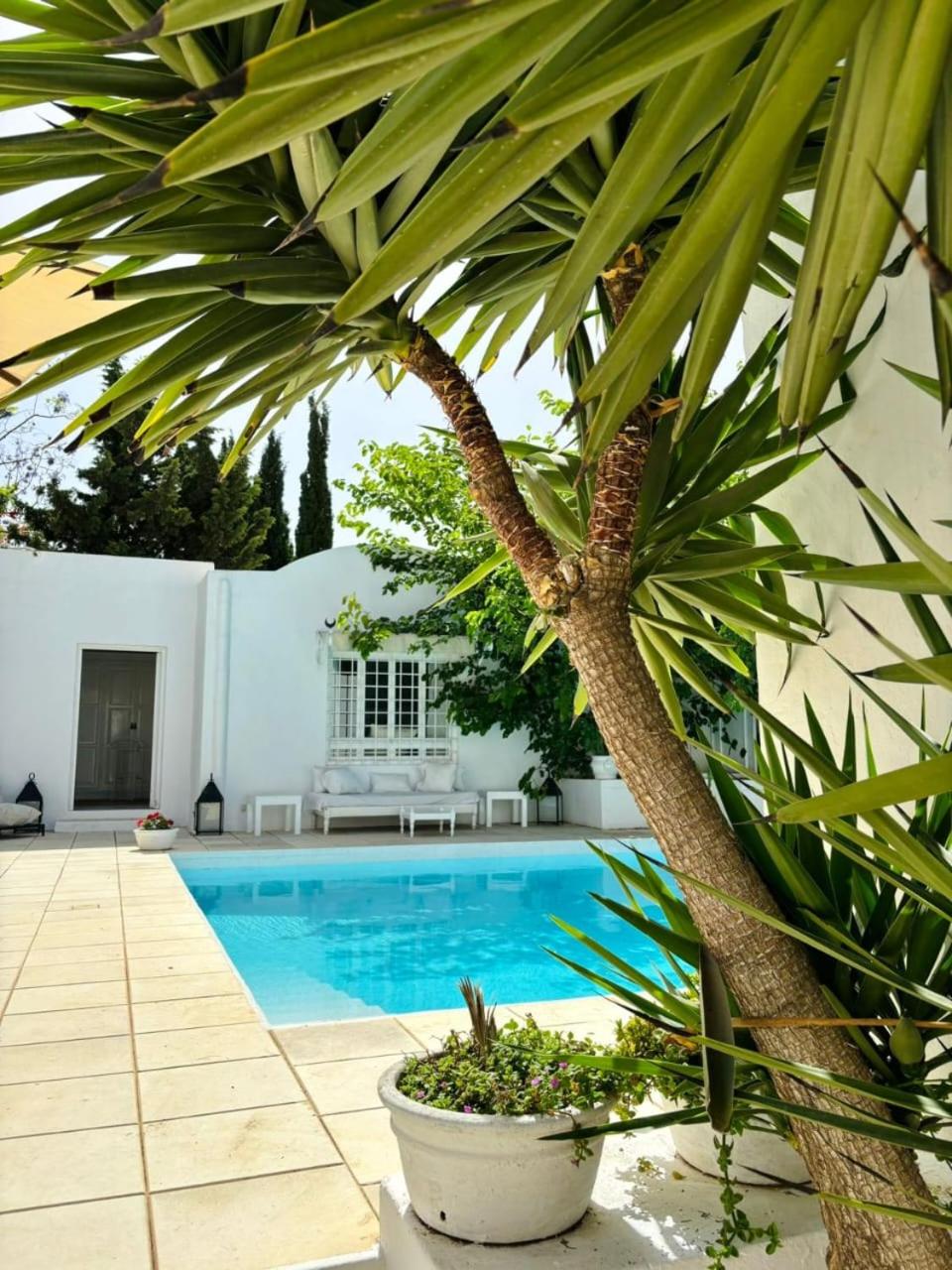 Hammamet Vacations - Dar LaVigne - Property Image 10