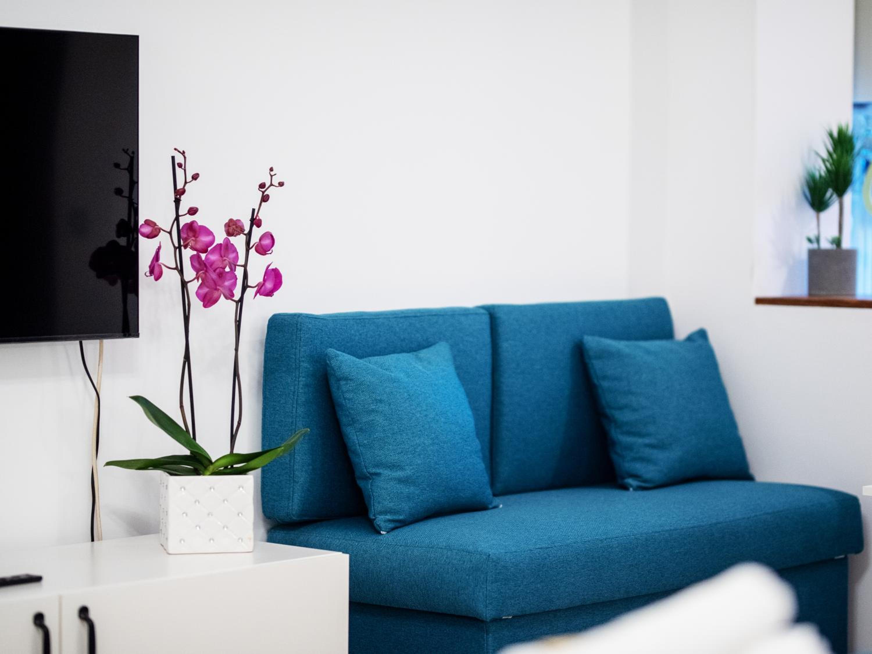 ZARA STUDIO BRASOV