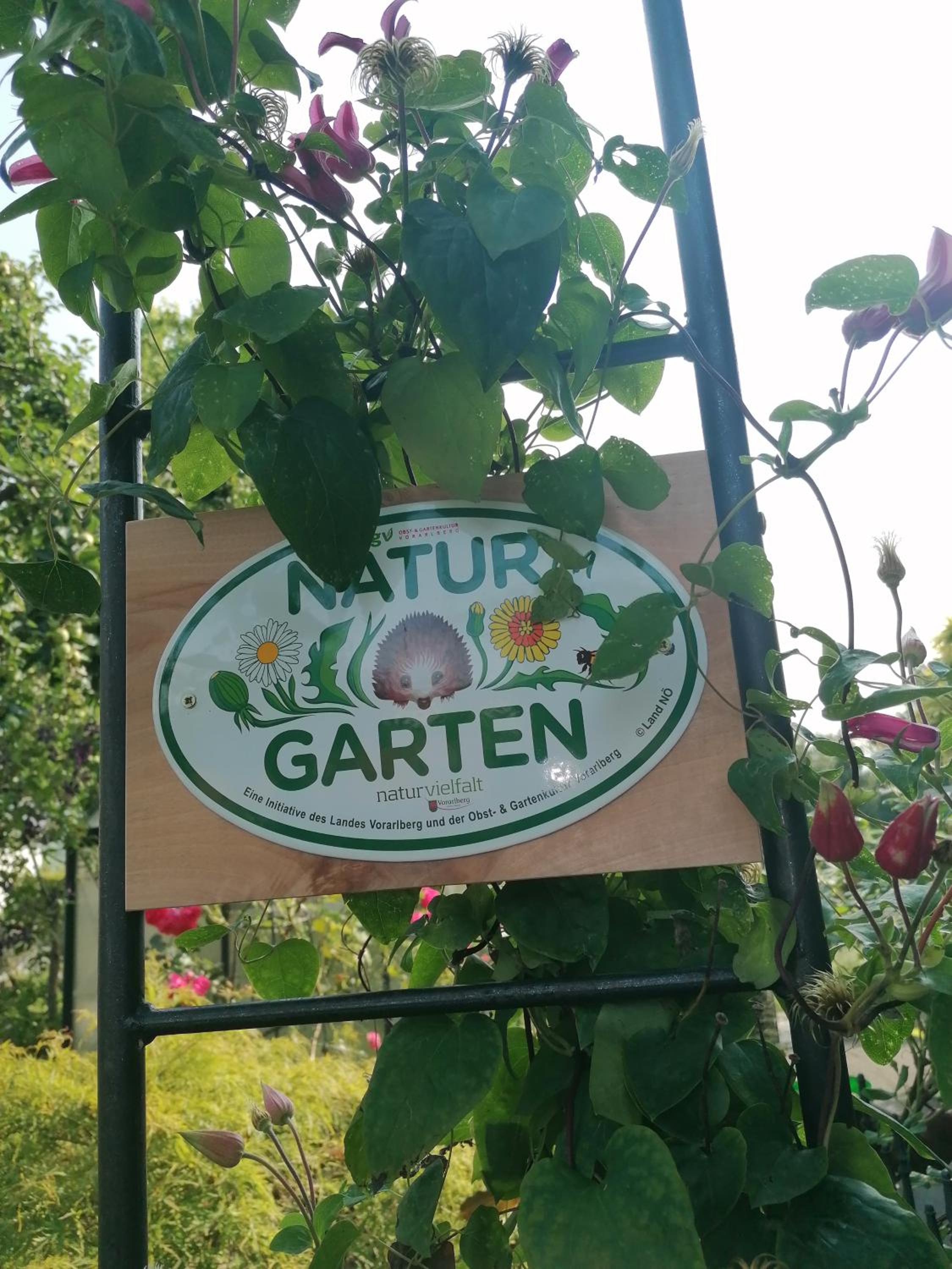 Ferienwohnung am Rhein