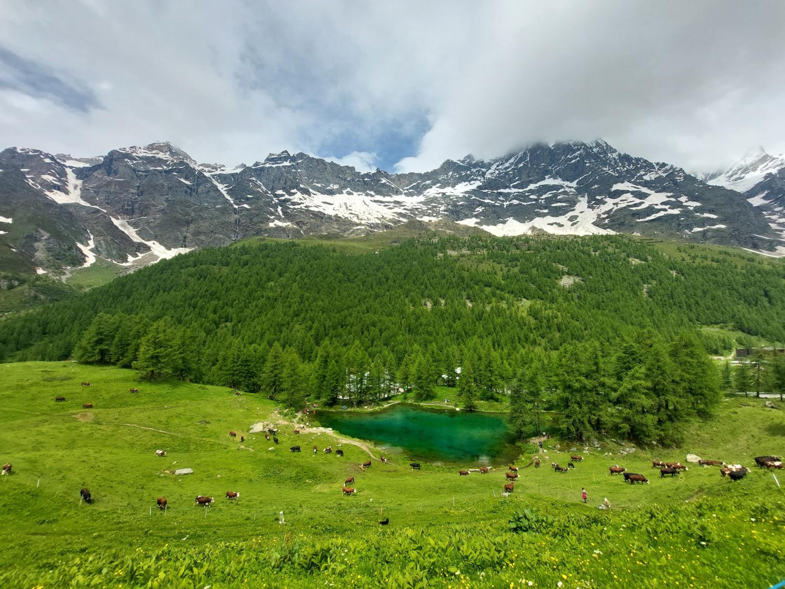 Alloggio vista Cervino photo 4