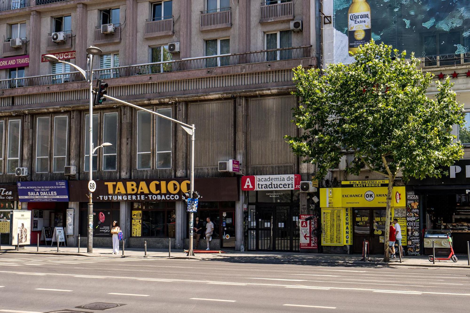 Photo 45