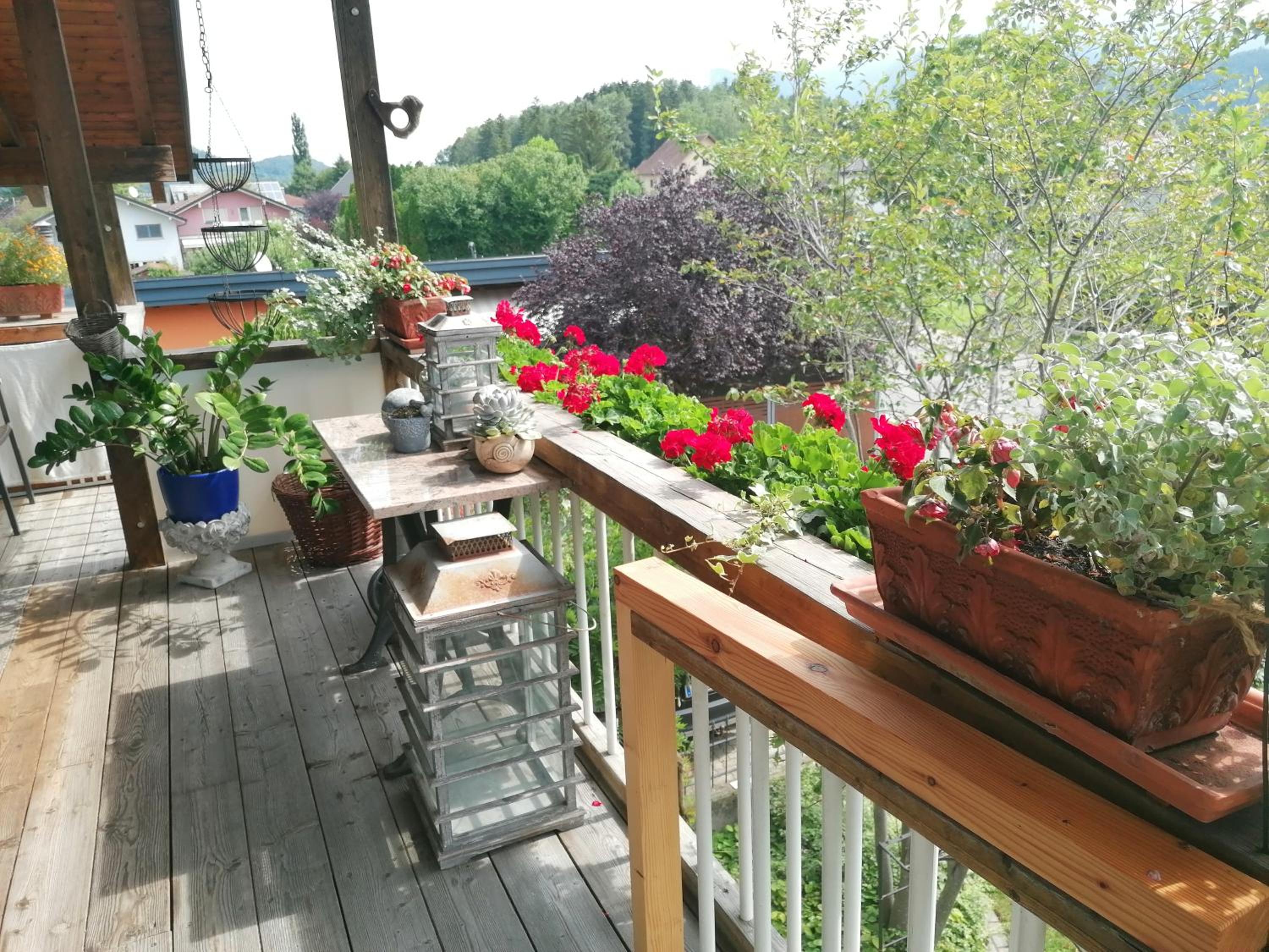 Ferienwohnung am Rhein
