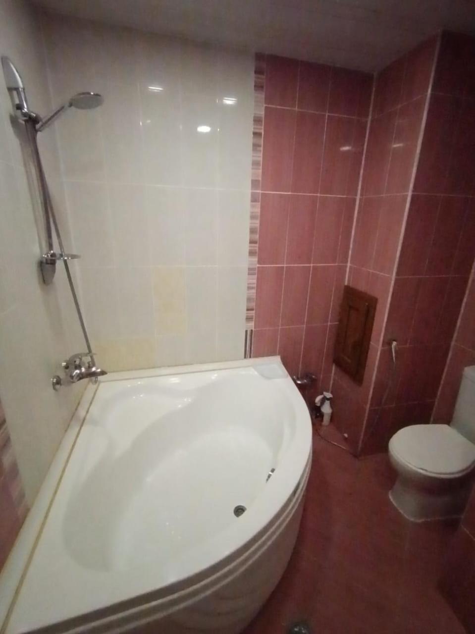 Apartment in Messenat