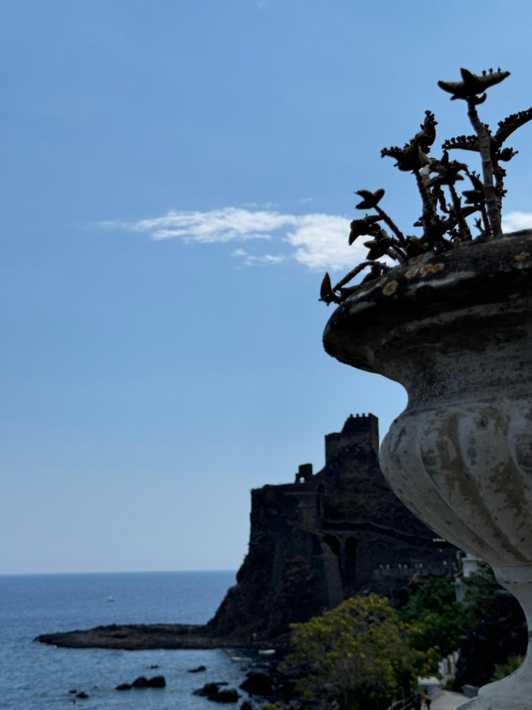 Dietro il castello photo 2