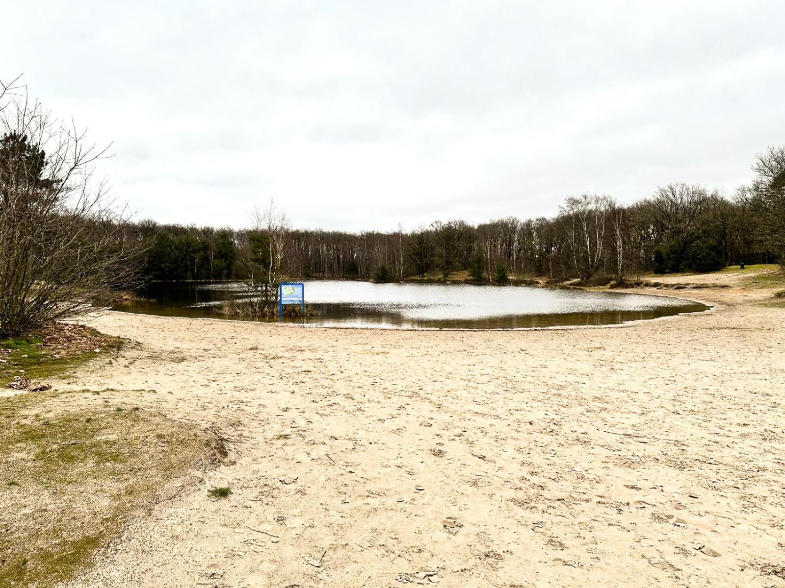 Bos Bungalow Drenthe