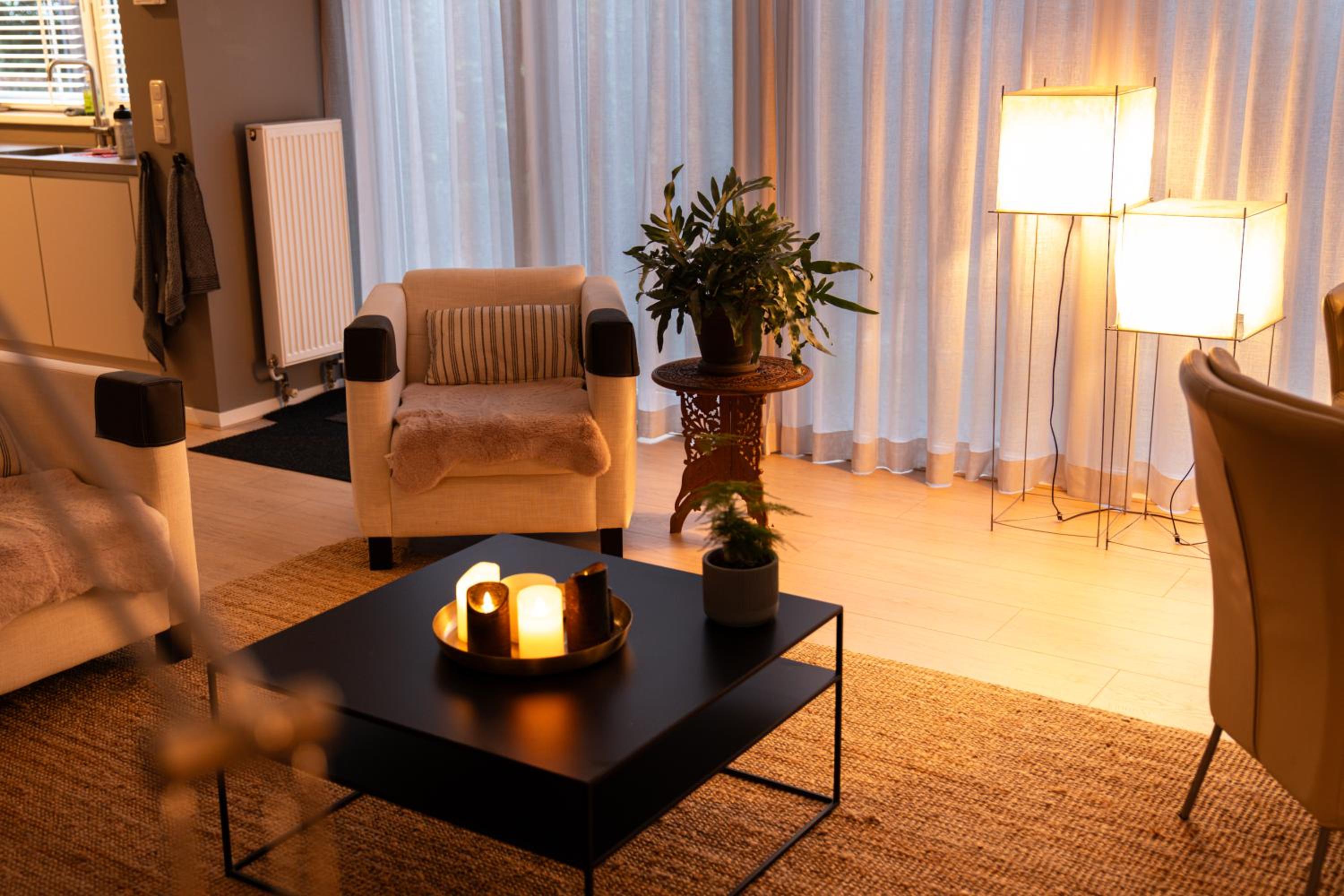 Bos Bungalow Drenthe