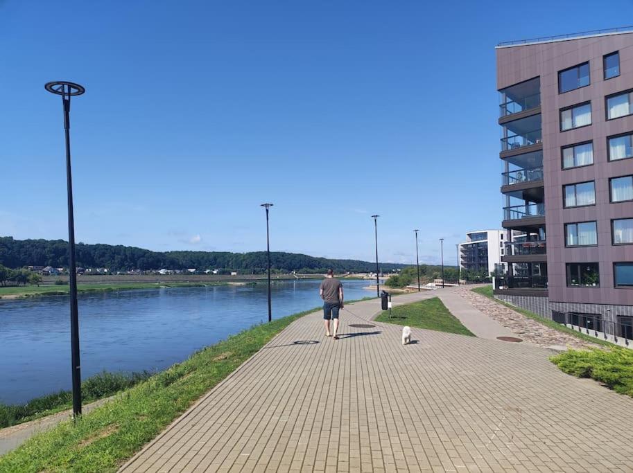 Kaunas Castle Apartment view 3