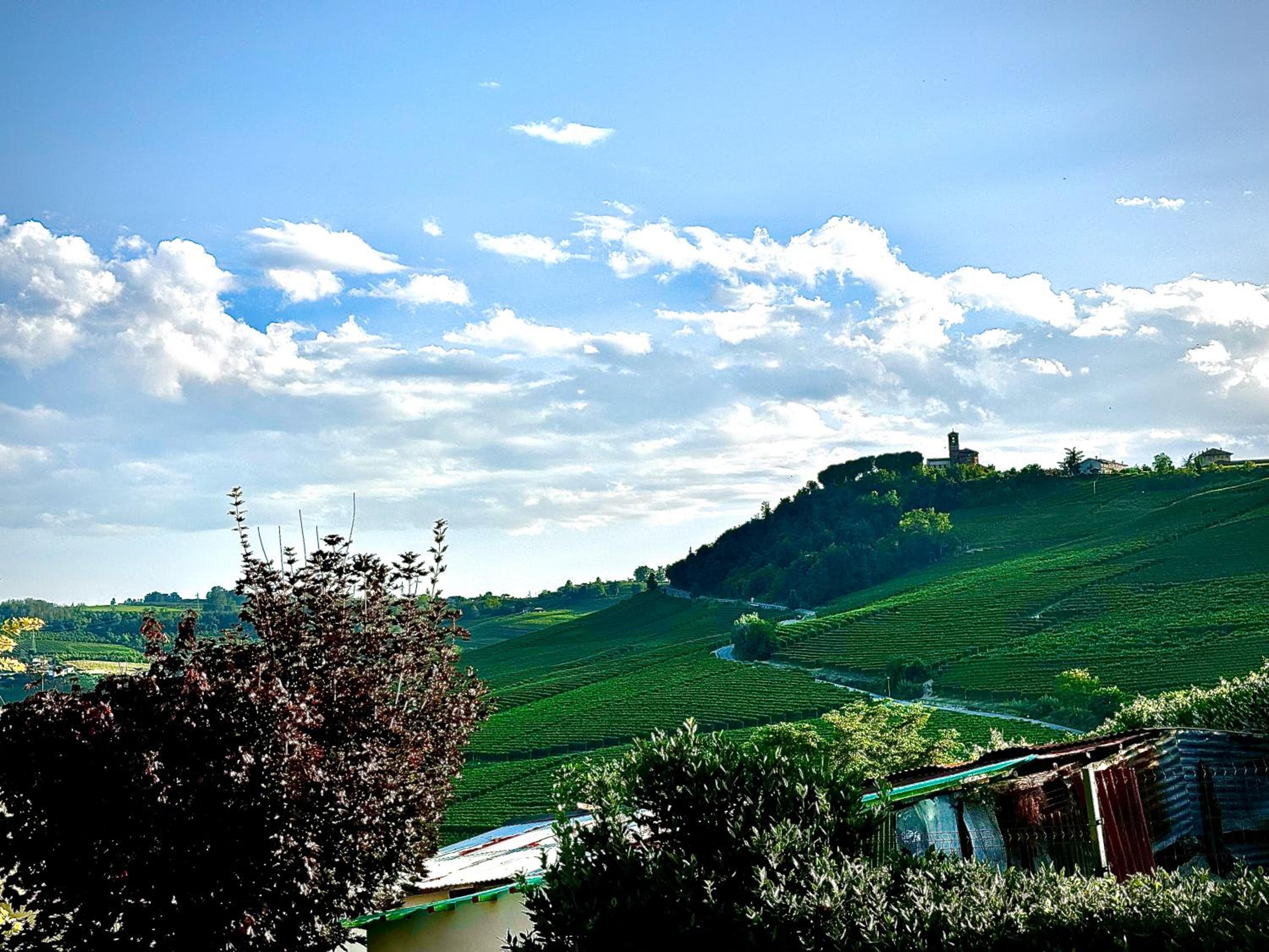 Affittacamere Verdiluna Cosyhome