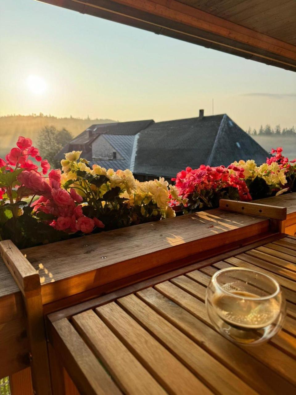 Helle gemütliche Ferienwohnung in Schwarzwaldhof