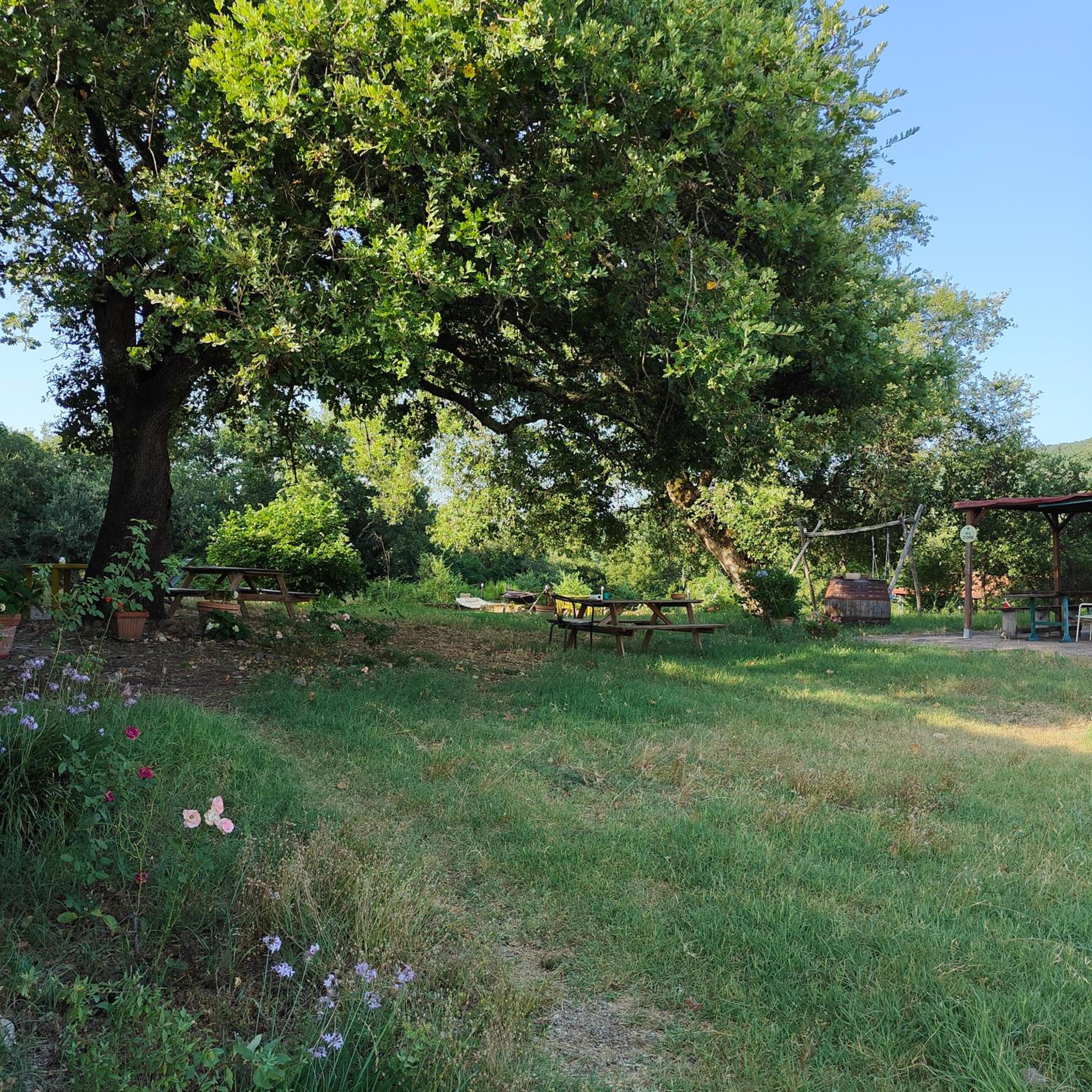 Agriturismo il Casalino