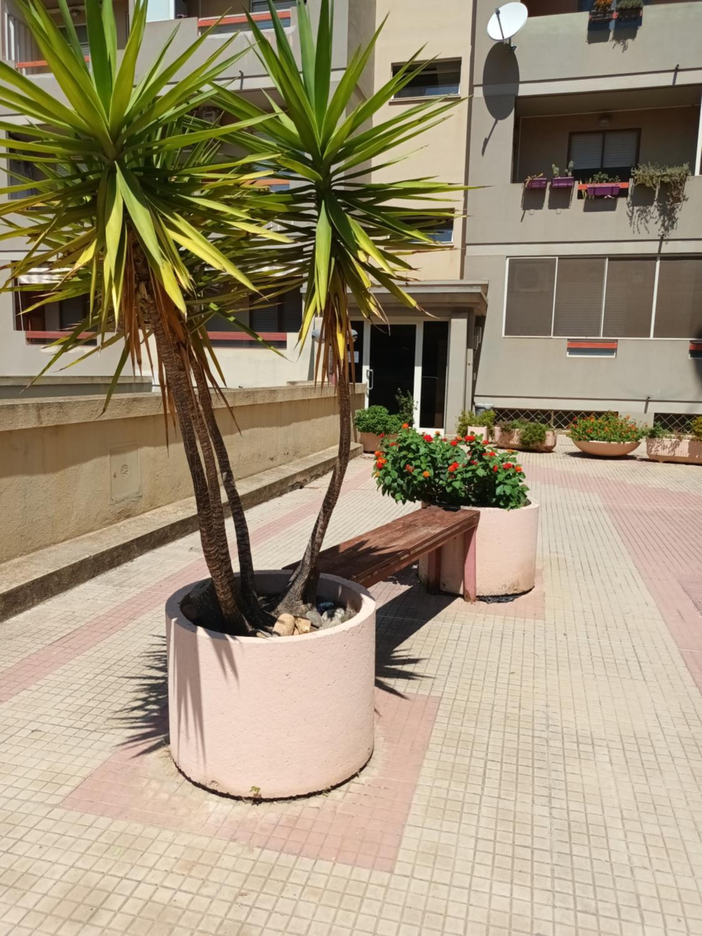 Casa Sandalyon