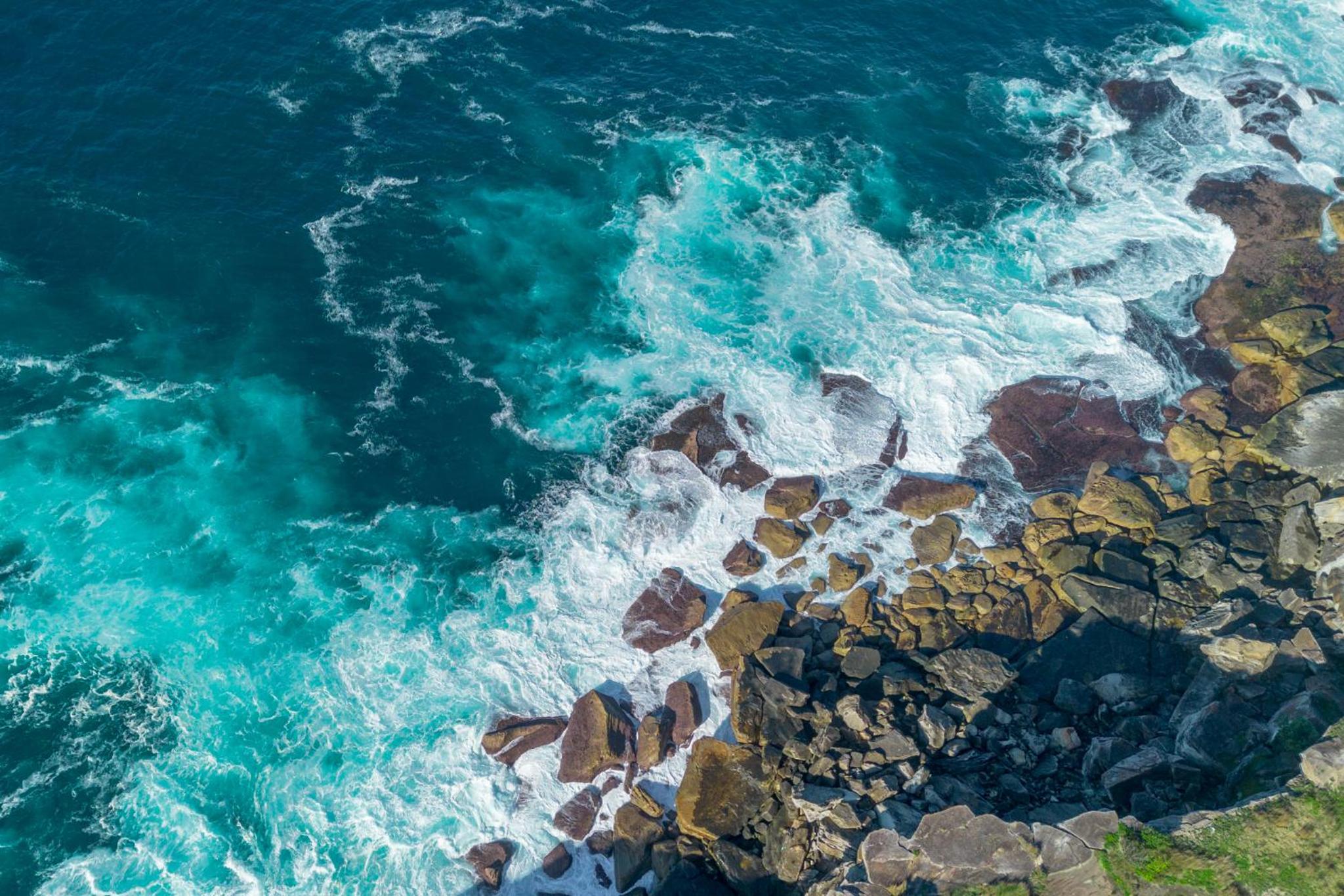 Upscale Cliffside Studio with Ocean Views North Bondi