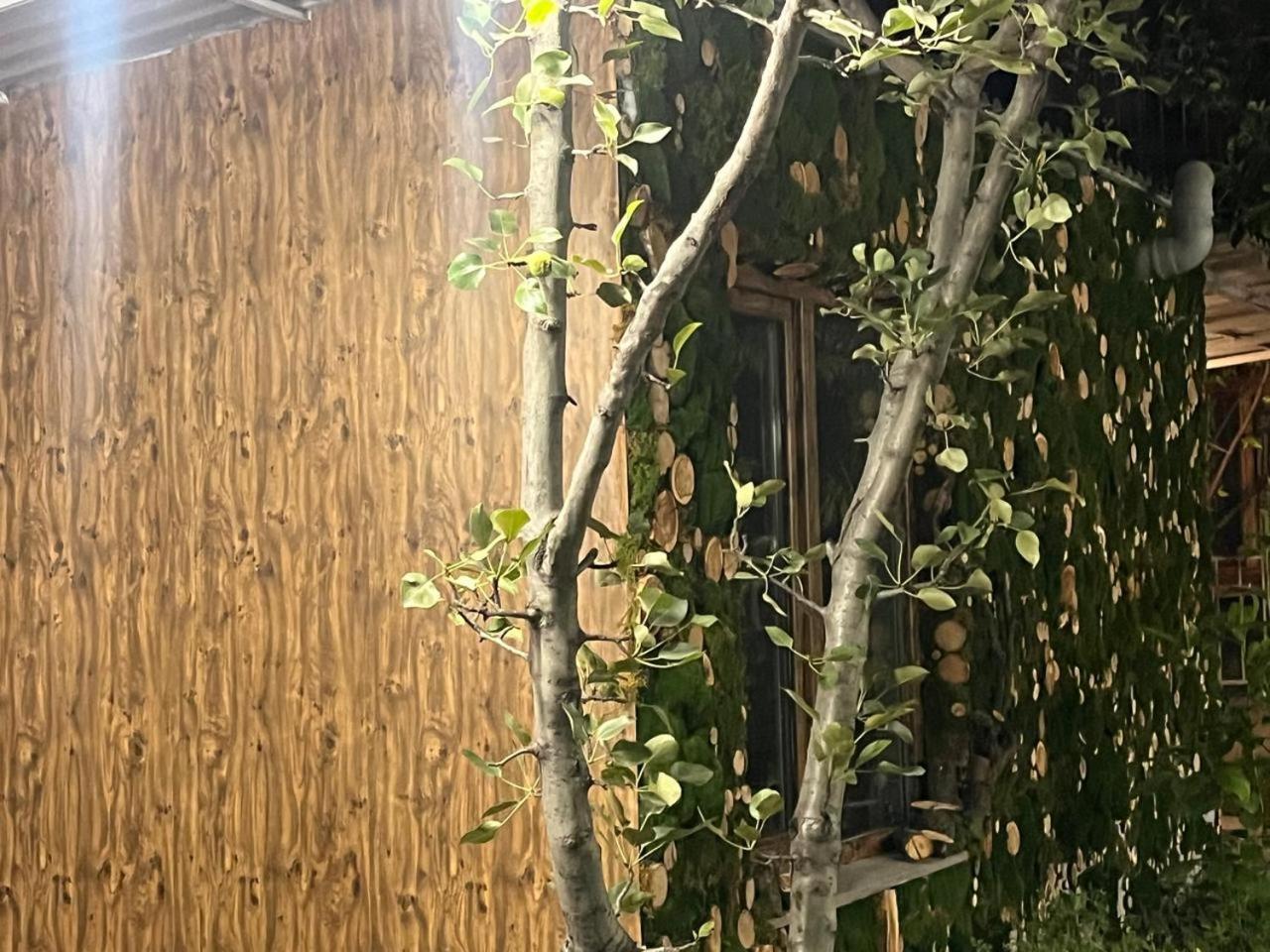 Andranik B&B