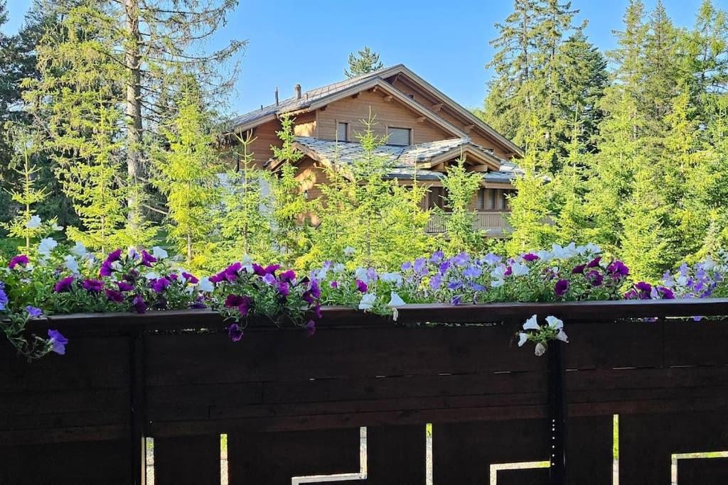 Chalet di charme in centro