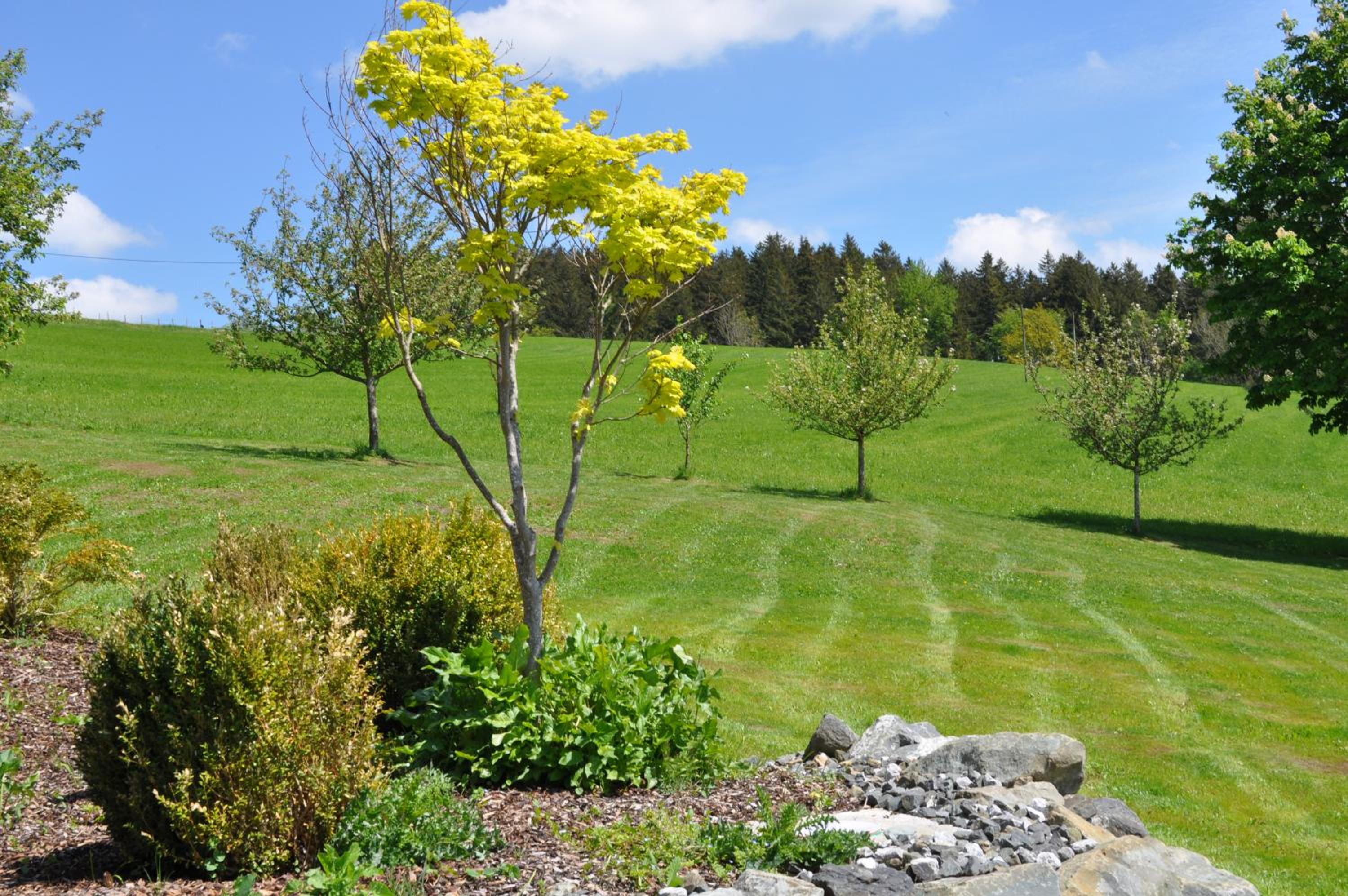 Allpano Pension und Ferienwohnungen