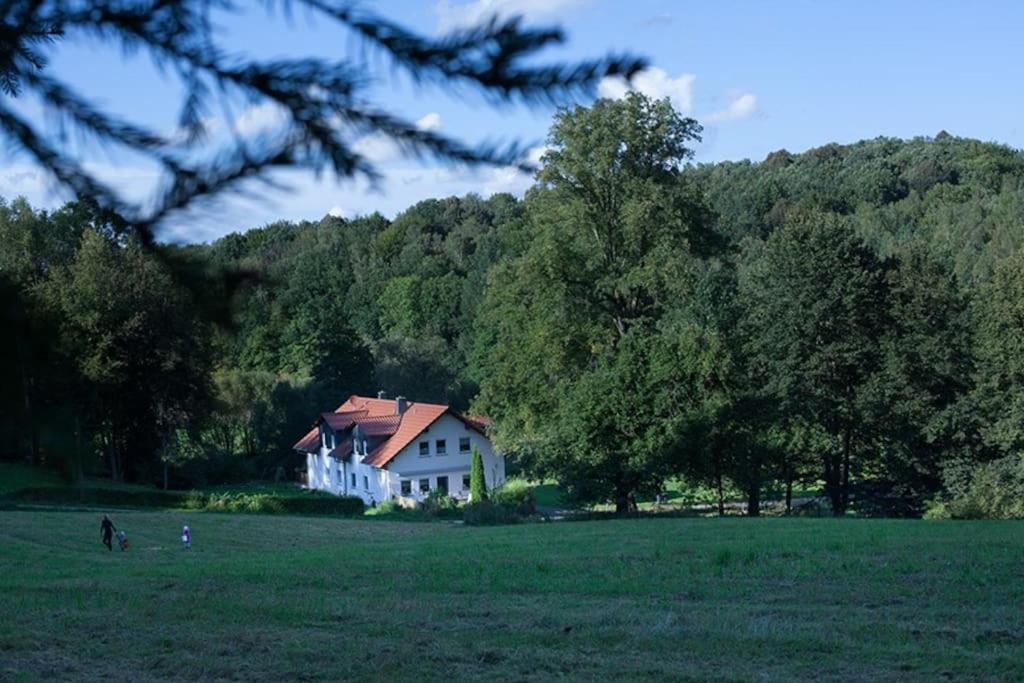 Wald-Apartment