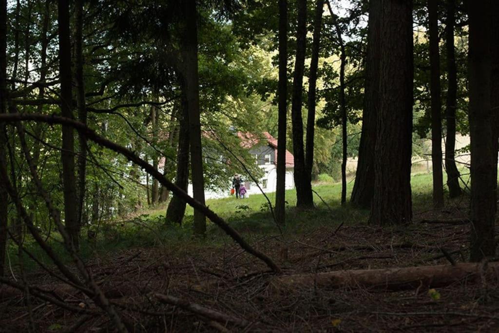Wald-Apartment