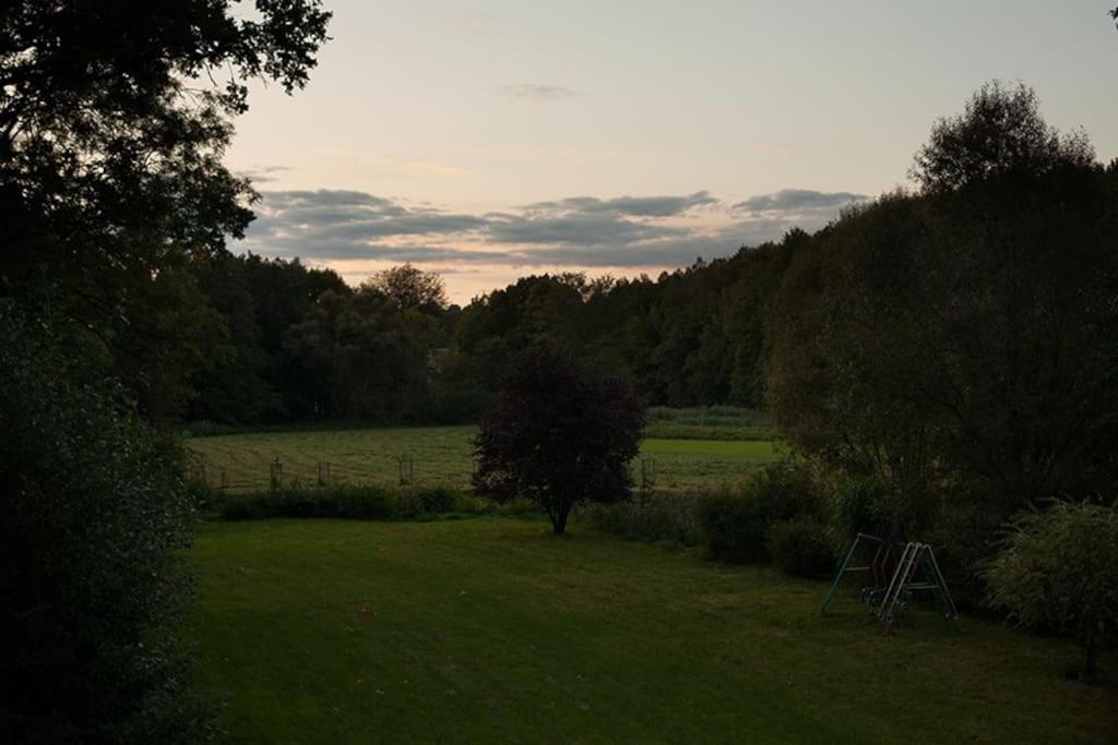 Wald-Apartment