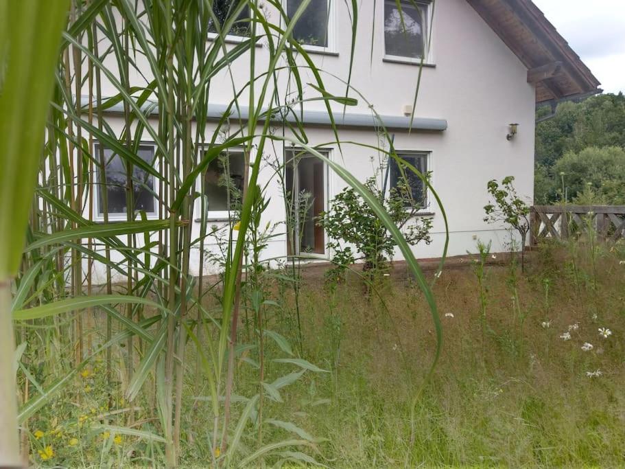 Wald-Apartment