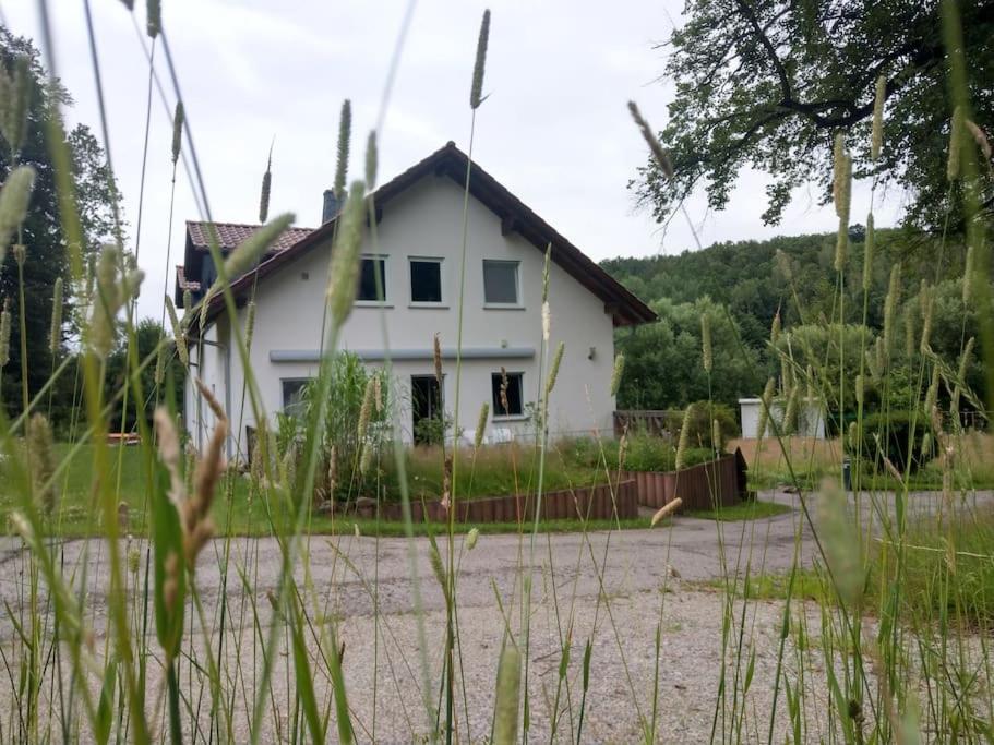 Wald-Apartment