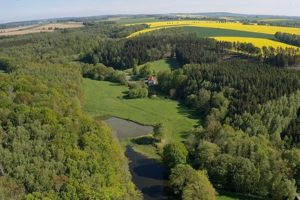 Wald-Apartment
