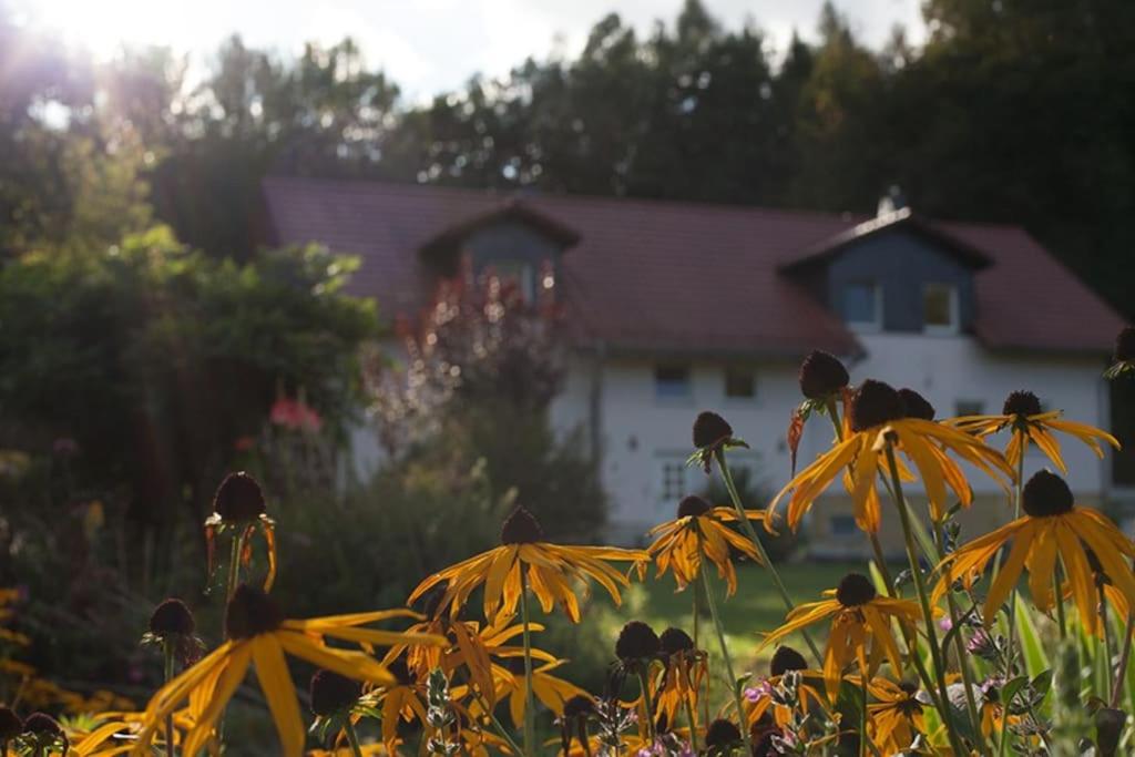 Wald-Apartment