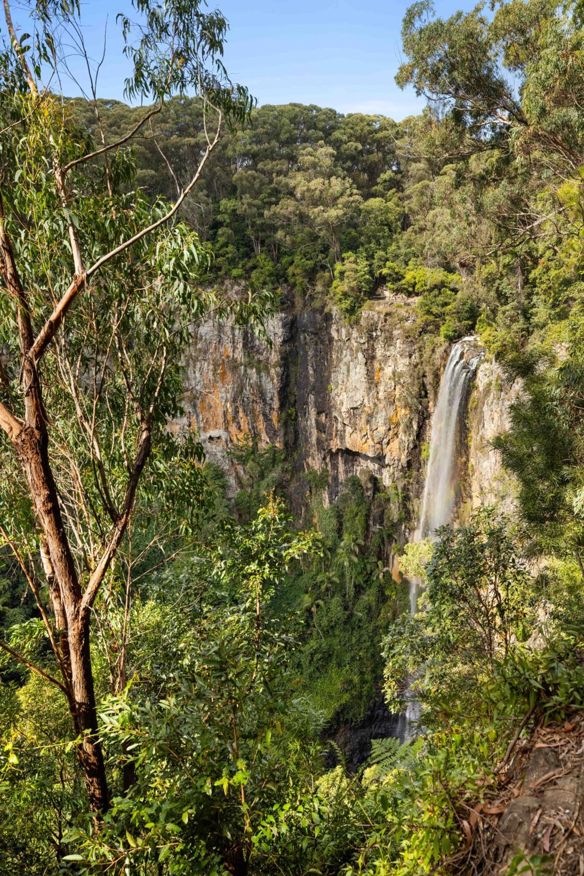 Secluded Luxury 2BR Rainforest Retreat Free Wi-Fi