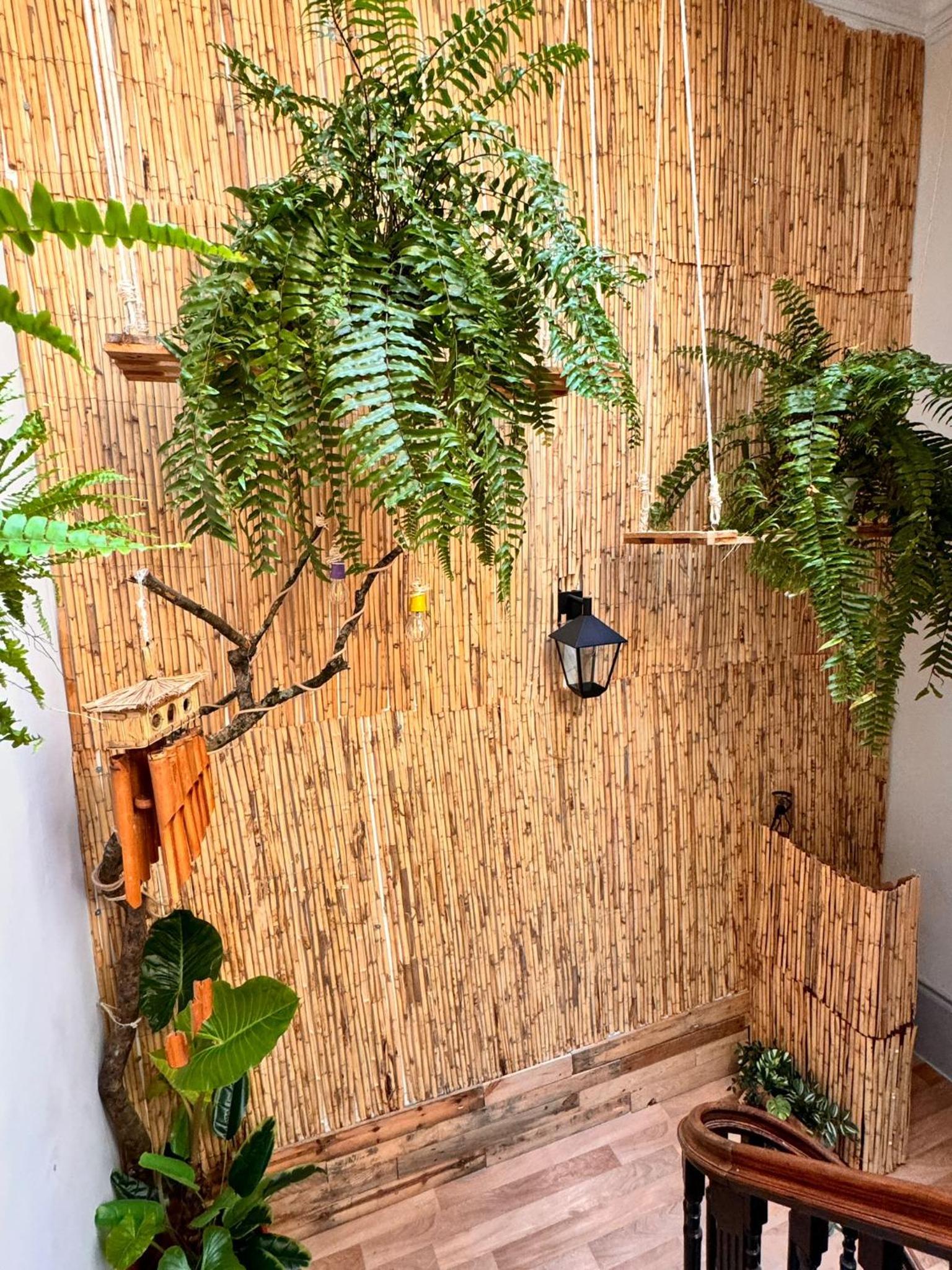 Samba Guesthouse